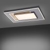 Paul-Neuhaus Q-ALTA Ceiling Light LED black, 1-light source, Remote control
