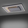 Paul-Neuhaus Q-ALTA Ceiling Light LED black, 1-light source, Remote control