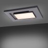 Paul-Neuhaus Q-ALTA Ceiling Light LED black, 1-light source, Remote control