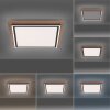 Paul-Neuhaus PALMA Ceiling Light LED Ecru, black, 2-light sources, Remote control