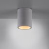 Paul-Neuhaus ETON Ceiling Light grey, black, 1-light source