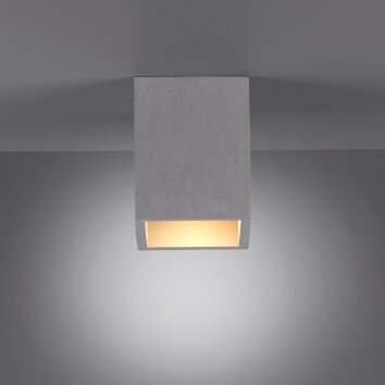 Paul-Neuhaus ETON Ceiling Light grey, black, 1-light source