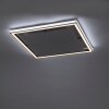 Paul-Neuhaus HELIX Ceiling Light LED aluminium, 2-light sources, Remote control