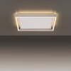 Paul-Neuhaus Q-KAAN Ceiling Light LED brushed steel, 2-light sources, Remote control
