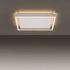 Paul-Neuhaus Q-KAAN Ceiling Light LED brushed steel, 2-light sources, Remote control