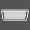 Paul-Neuhaus Q-KAAN Ceiling Light LED brushed steel, 2-light sources, Remote control
