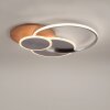 Paul-Neuhaus PALMA Ceiling Light LED Ecru, brushed steel, 1-light source, Remote control