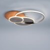 Paul-Neuhaus PALMA Ceiling Light LED Ecru, brushed steel, 1-light source, Remote control