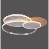 Paul-Neuhaus PALMA Ceiling Light LED Ecru, brushed steel, 1-light source, Remote control