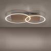 Paul-Neuhaus PALMA Ceiling Light LED Ecru, brushed steel, 2-light sources, Remote control