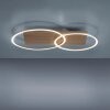 Paul-Neuhaus PALMA Ceiling Light LED Ecru, brushed steel, 2-light sources, Remote control