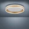 Paul-Neuhaus Q-VITO Ceiling Light LED brass, 1-light source, Remote control