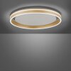 Paul-Neuhaus Q-VITO Ceiling Light LED brass, 1-light source, Remote control