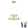 Paul-Neuhaus Q-VITO Pendant Light LED brass, 2-light sources, Remote control