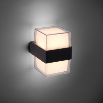 Paul-Neuhaus CARA Outdoor Wall Light LED anthracite, 2-light sources