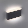 Paul-Neuhaus ELSA Outdoor Wall Light LED anthracite, 2-light sources