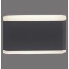 Paul-Neuhaus ELSA Outdoor Wall Light LED anthracite, 2-light sources