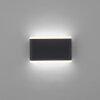 Paul-Neuhaus ELSA Outdoor Wall Light LED anthracite, 2-light sources