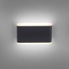 Paul-Neuhaus ELSA Outdoor Wall Light LED anthracite, 2-light sources