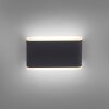 Paul-Neuhaus ELSA Outdoor Wall Light LED anthracite, 2-light sources