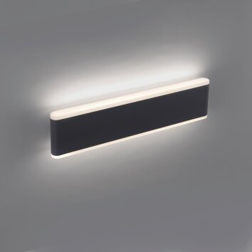 Paul-Neuhaus ELSA Outdoor Wall Light LED anthracite, 2-light sources