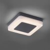 Paul-Neuhaus FABIAN Outdoor Wall Light LED anthracite, 1-light source