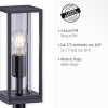 Paul-Neuhaus EMIL path light anthracite, 1-light source