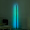 Leuchten-Direkt HENRY Floor Lamp LED brushed steel, 1-light source, Remote control, Colour changer