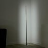 Leuchten-Direkt HENRY Floor Lamp LED brushed steel, 1-light source, Remote control, Colour changer