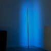 Leuchten-Direkt HENRY Floor Lamp LED brushed steel, 1-light source, Remote control