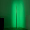 Leuchten-Direkt HENRY Floor Lamp LED brushed steel, 1-light source, Remote control, Colour changer