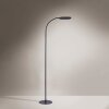 Leuchten-Direkt KELLY Floor Lamp LED black, 1-light source