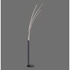 Leuchten-Direkt MAJA Floor Lamp LED black, 1-light source