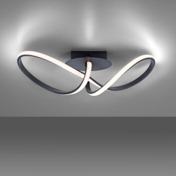 Leuchten-Direkt MARIA Ceiling Light LED black, 1-light source