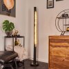 RODECHE Floor Lamp LED brass, black, 1-light source