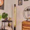 RODECHE Floor Lamp LED brass, black, 1-light source