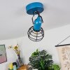 BUILAKO Ceiling Light blue, black, 1-light source