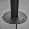 VENNESHAMM pedestal light black, transparent, clear, 1-light source