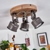 PEHEFITO Ceiling Light black, 3-light sources