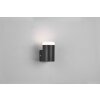 Trio-Leuchten RAY Wall Light LED black, 1-light source
