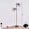CAILARA Floor Lamp black, 2-light sources