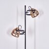 CAILARA Floor Lamp black, 2-light sources