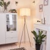 ANTILLO Floor Lamp matt nickel, 1-light source