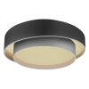 Globo NORBERT Ceiling Light LED black, 1-light source, Remote control