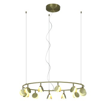 Mantra SHELL Pendant Light LED gold, 1-light source