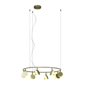 Mantra SHELL Pendant Light LED gold, 1-light source