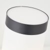 Brilliant-Leuchten DODY Outdoor Wall Light black, 1-light source