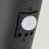 Brilliant-Leuchten DODY Outdoor Wall Light black, 1-light source, Motion sensor