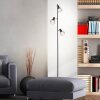 Brilliant-Leuchten BLACKY Floor Lamp black, 3-light sources