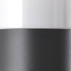 Brilliant-Leuchten ARTHUS Outdoor Wall Light black, 1-light source